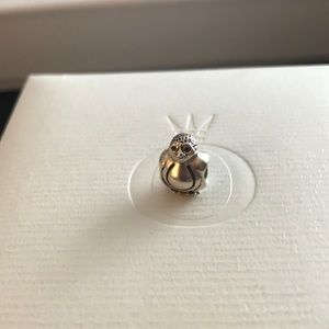 Pandora Charm
